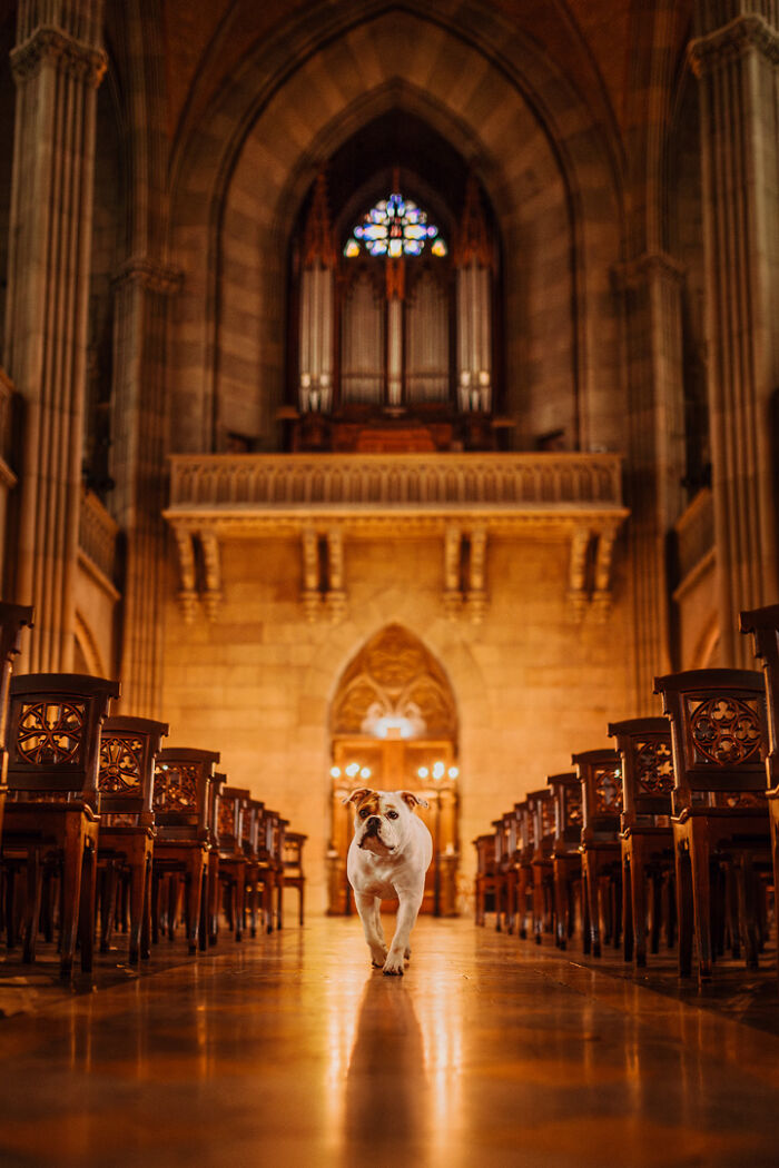 21 Heartwarming Photos Capturing The Special Bond Between Animals And Their Humans By Lea Styger 21 Heartwarming Photos Capturing The Special Bond Between Animals And Their Humans By Lea Styger