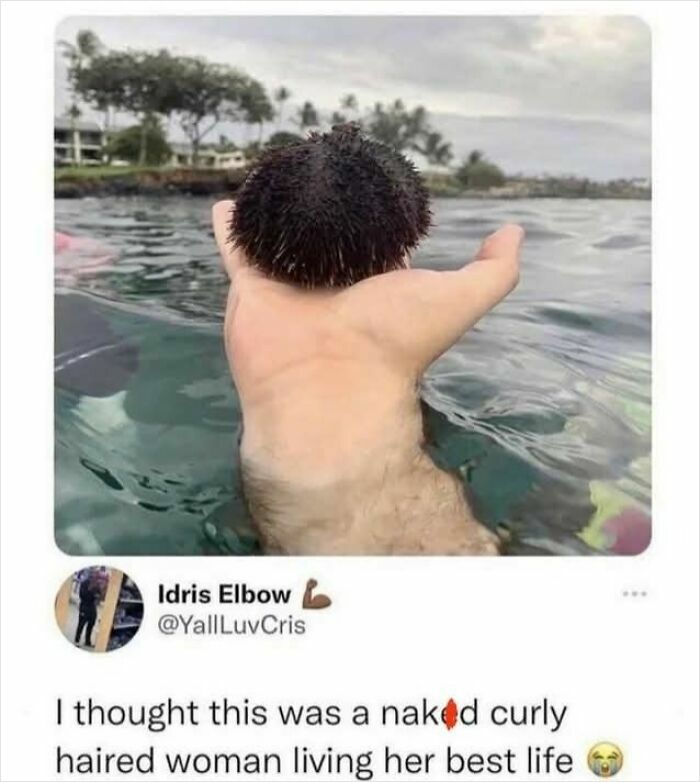 50 Memes That Hit Harder If You’re Fluent In Sarcasm