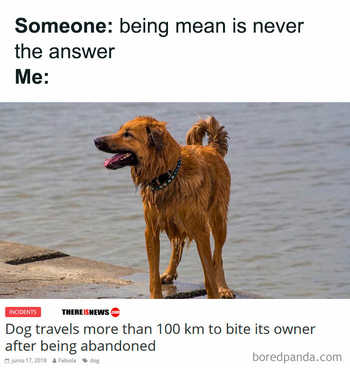 40 Memes That May Induce Awkward Laughs Because Of How True They Are 40 Memes That May Induce Awkward Laughs Because Of How True They Are