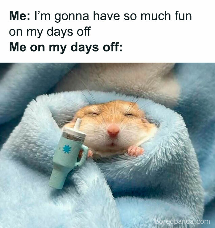 40 Memes That May Induce Awkward Laughs Because Of How True They Are 40 Memes That May Induce Awkward Laughs Because Of How True They Are