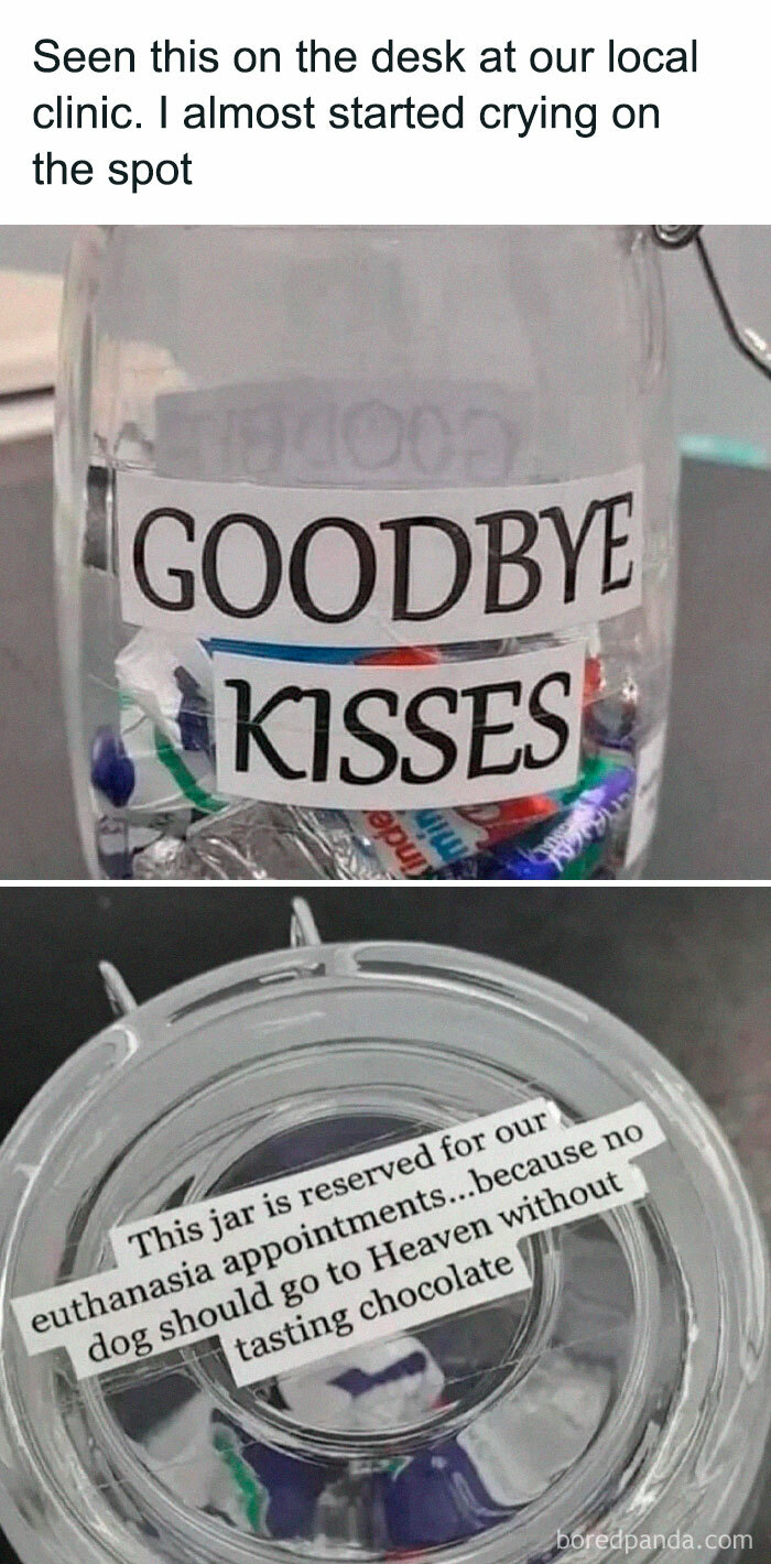 40 Memes That May Induce Awkward Laughs Because Of How True They Are 40 Memes That May Induce Awkward Laughs Because Of How True They Are