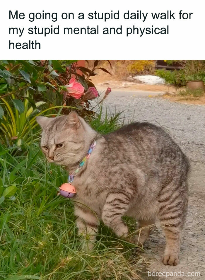 40 Memes That May Induce Awkward Laughs Because Of How True They Are 40 Memes That May Induce Awkward Laughs Because Of How True They Are