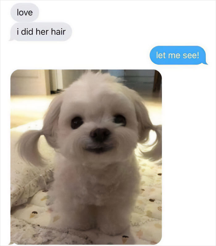 40 Memes That May Induce Awkward Laughs Because Of How True They Are 40 Memes That May Induce Awkward Laughs Because Of How True They Are