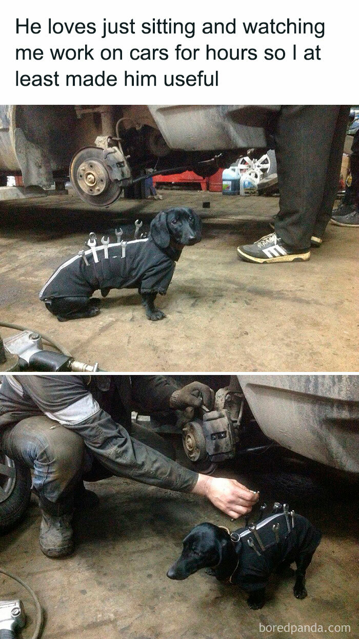 40 Memes That May Induce Awkward Laughs Because Of How True They Are 40 Memes That May Induce Awkward Laughs Because Of How True They Are