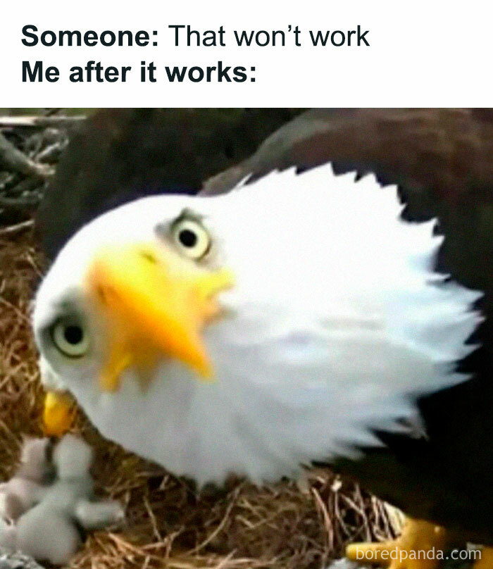 40 Memes That May Induce Awkward Laughs Because Of How True They Are 40 Memes That May Induce Awkward Laughs Because Of How True They Are