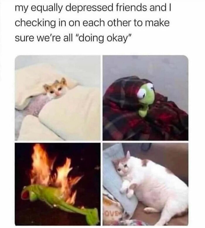 40 Memes That May Induce Awkward Laughs Because Of How True They Are 40 Memes That May Induce Awkward Laughs Because Of How True They Are