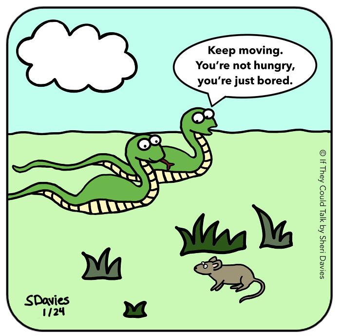 30 Cute And Funny Animal Cartoons I Draw To Support Charities 30 Cute And Funny Animal Cartoons I Draw To Support Charities