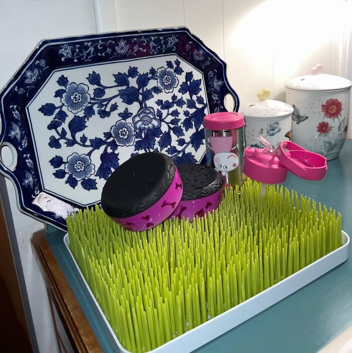 These 24 Things Feel Like Unlocking A Better Version Of Life