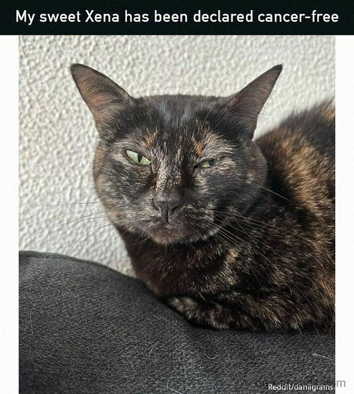 50 Wholesome And Heartwarming Posts That Might Make Your Day Better 50 Wholesome And Heartwarming Posts That Might Make Your Day Better