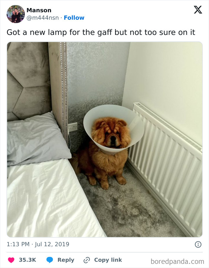 50 Posts Full Of Scottish Humor That Are Funnier Than A Seagull Stealing Your Chips (New Pics) 50 Posts Full Of Scottish Humor That Are Funnier Than A Seagull Stealing Your Chips (New Pics)