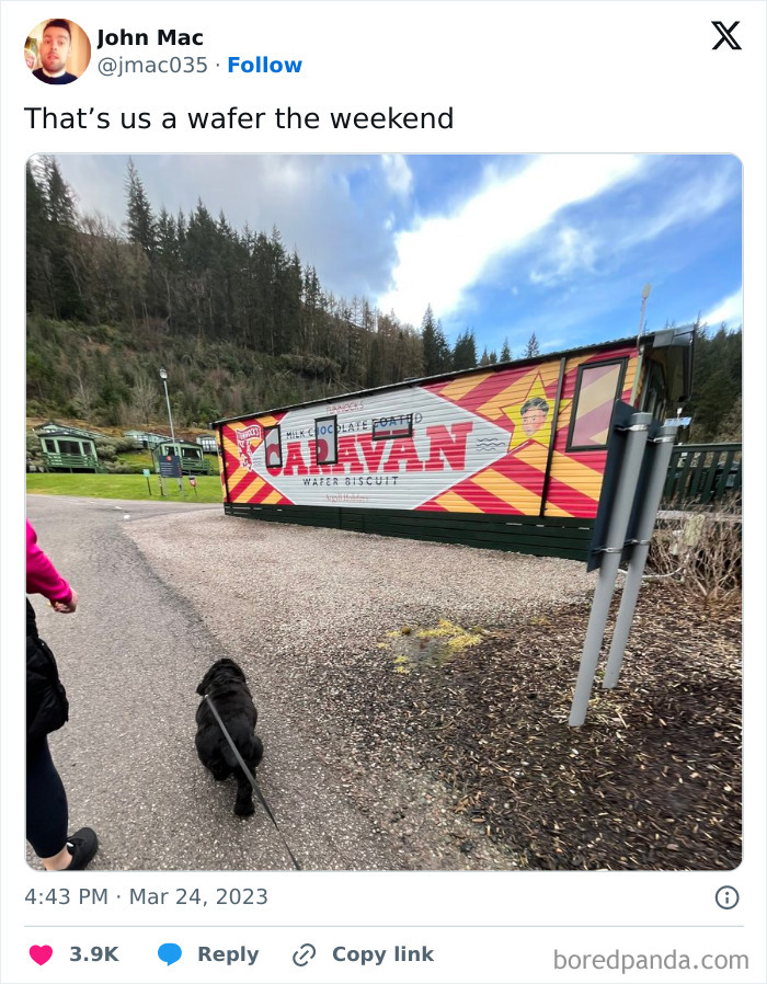 50 Posts Full Of Scottish Humor That Are Funnier Than A Seagull Stealing Your Chips (New Pics) 50 Posts Full Of Scottish Humor That Are Funnier Than A Seagull Stealing Your Chips (New Pics)