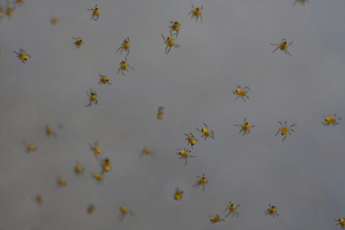 30 Times People Thought They Were Being Paranoid, Only To Face A Real-Life Terror