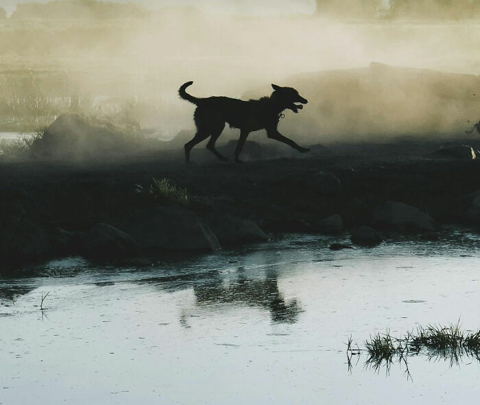 30 Times People Thought They Were Being Paranoid, Only To Face A Real-Life Terror