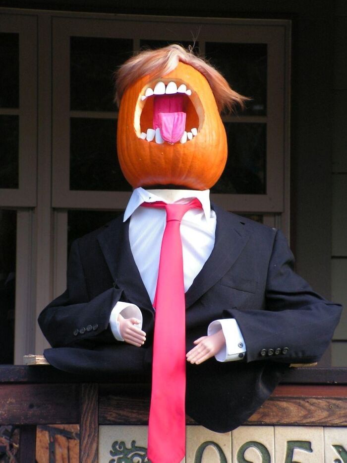 People Writing Amazon Reviews Like They’re Auditioning For SNL: 25 Gems People Writing Amazon Reviews Like They’re Auditioning For SNL: 25 Gems