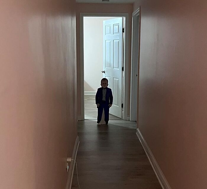 People Writing Amazon Reviews Like They’re Auditioning For SNL: 25 Gems People Writing Amazon Reviews Like They’re Auditioning For SNL: 25 Gems