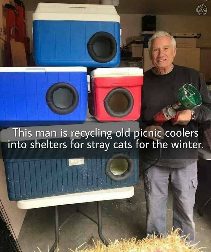 50 Adorable Memes That Prove Just How Special Cats Are