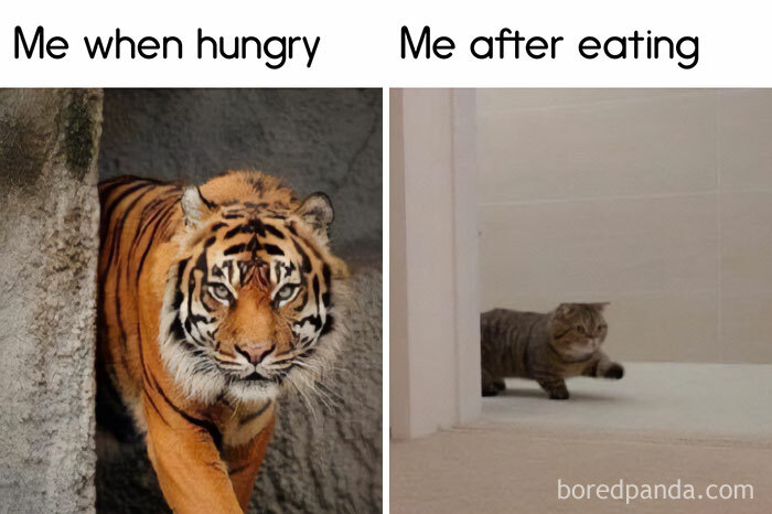 &ldquo;A Meeting Without Food Should Be An Email&rdquo;: 50 Funny Memes From This Dedicated Page