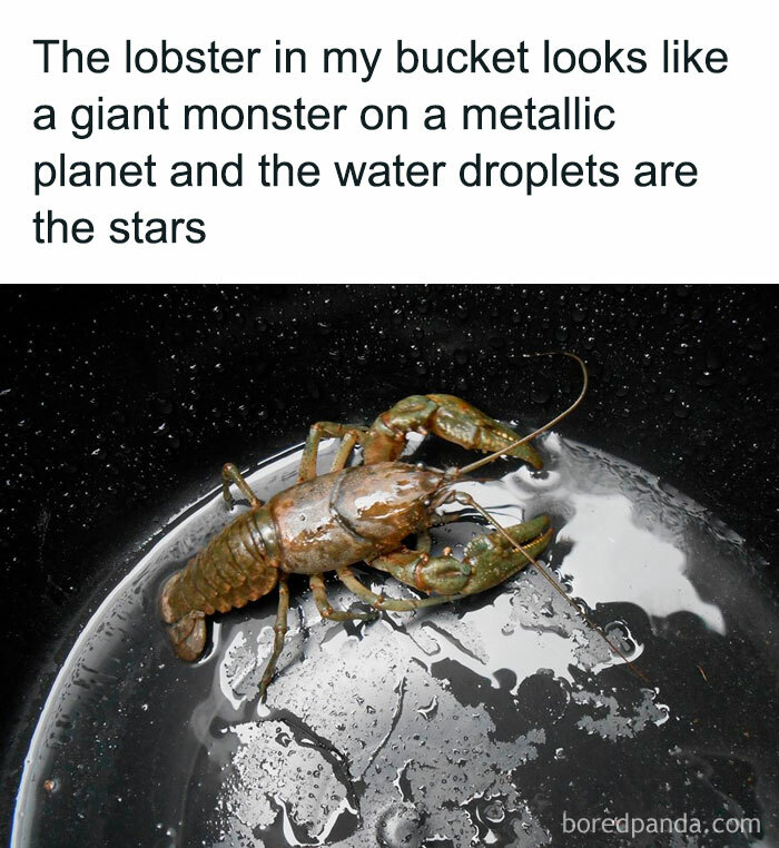 50 Science Memes From ‘Trust Me, I’m A “Biologist”’ That Might Make You Laugh 50 Science Memes From ‘Trust Me, I’m A “Biologist”’ That Might Make You Laugh