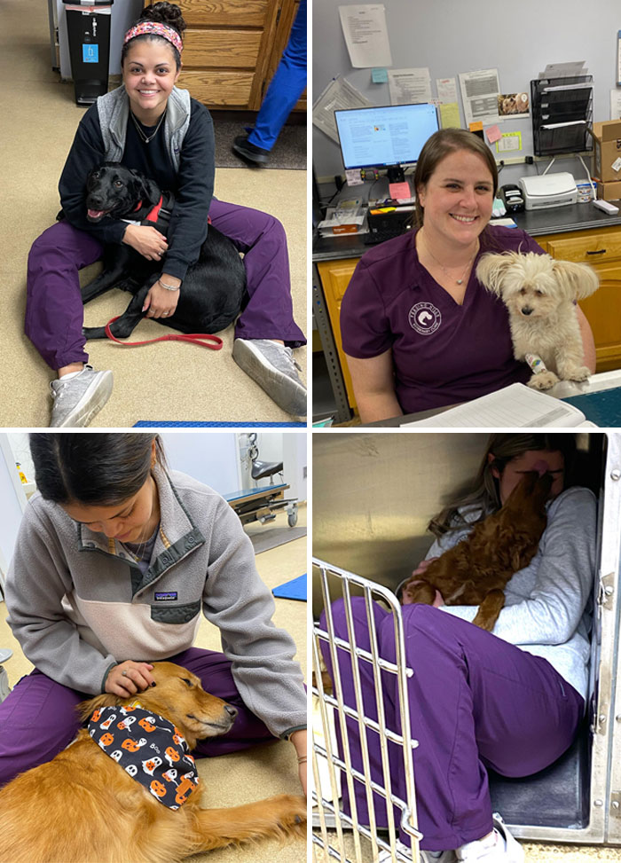 Veterinarians Share The Funniest And Strangest Moments They’ve Ever Had On The Job (New Pics) Veterinarians Share The Funniest And Strangest Moments They’ve Ever Had On The Job (New Pics)