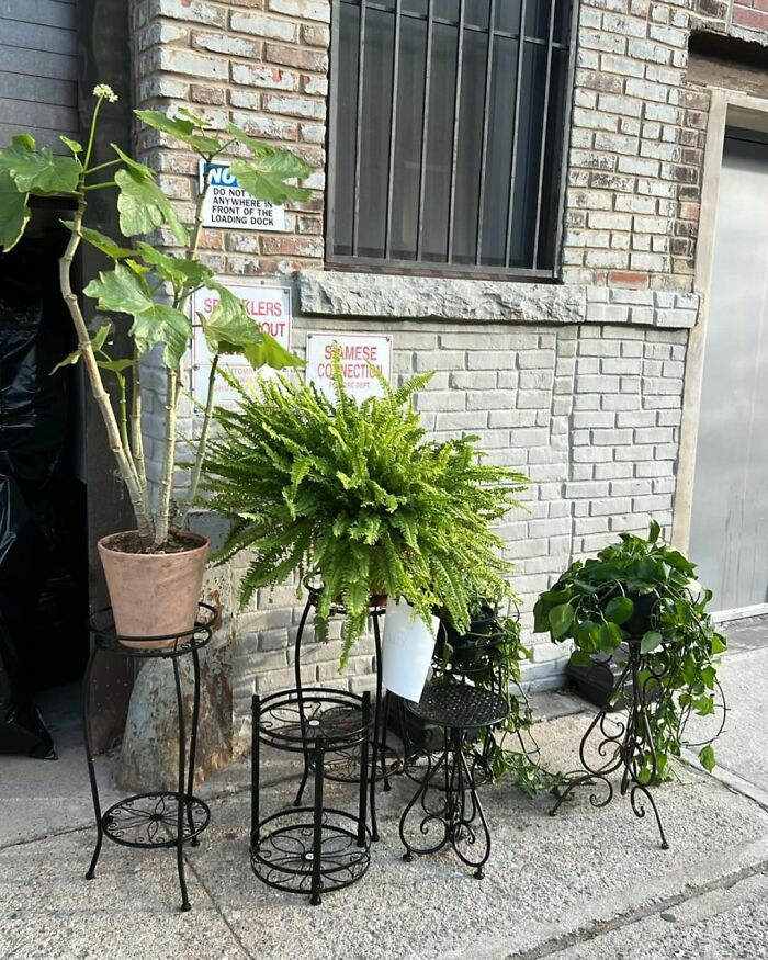 One Man’s Trash, Another’s Jackpot: 35 Wild Stooping Discoveries In New York (New Pics) One Man’s Trash, Another’s Jackpot: 35 Wild Stooping Discoveries In New York (New Pics)