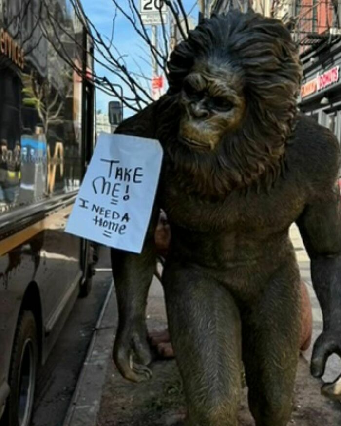 One Man’s Trash, Another’s Jackpot: 35 Wild Stooping Discoveries In New York (New Pics) One Man’s Trash, Another’s Jackpot: 35 Wild Stooping Discoveries In New York (New Pics)