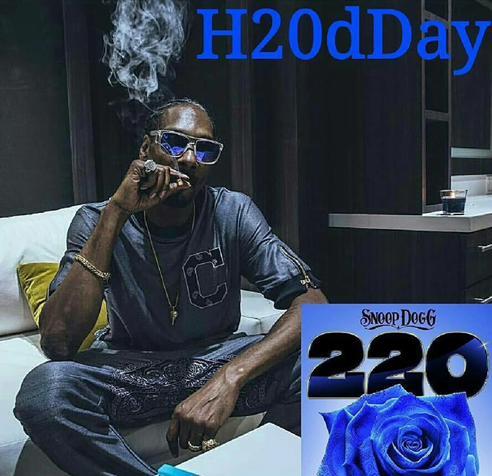 Snoop Dogg’s Net-Worth Revealed: From Rap Royalty To High-Stakes Business Deals Snoop Dogg’s Net-Worth Revealed: From Rap Royalty To High-Stakes Business Deals