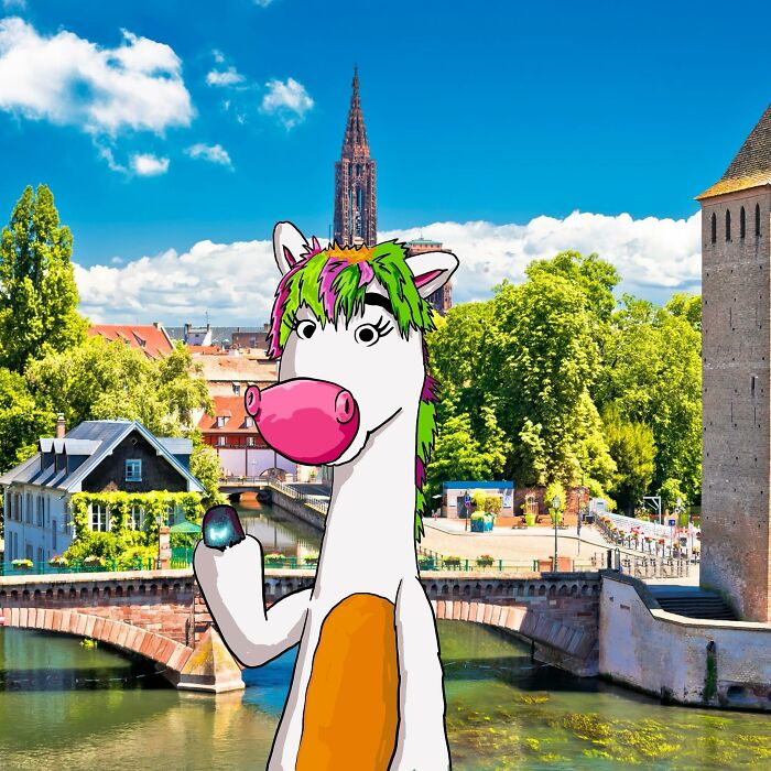 30 Creative Illustrations By Robin Yayla That Might Change How You Look At The World (New Pics)