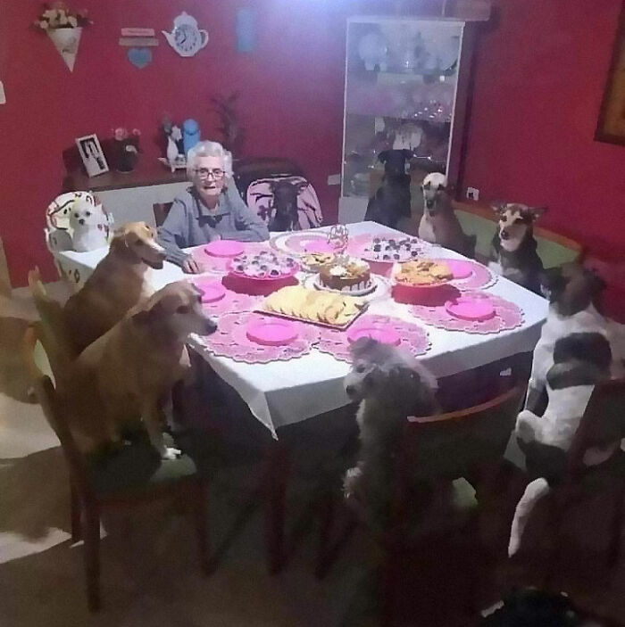 50 Times Animals Acted So Weird They Ended Up On The “Not My Animal” Page (New Pics) 50 Times Animals Acted So Weird They Ended Up On The “Not My Animal” Page (New Pics)