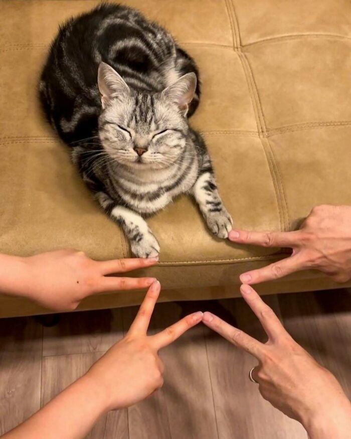 50 Times Animals Acted So Weird They Ended Up On The “Not My Animal” Page (New Pics) 50 Times Animals Acted So Weird They Ended Up On The “Not My Animal” Page (New Pics)