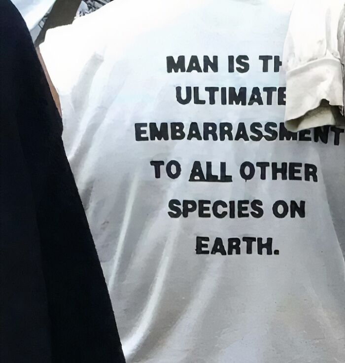 50 Absolutely Unhinged T-Shirts That Belong In A Psychiatric Study (New Pics) 50 Absolutely Unhinged T-Shirts That Belong In A Psychiatric Study (New Pics)