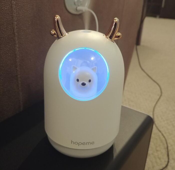 28 Completely Unnecessary Items That We’re Still Somehow Justifying 28 Completely Unnecessary Items That We’re Still Somehow Justifying