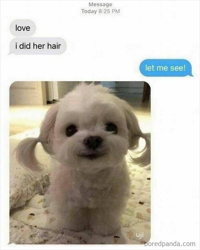 50 Memes That Made The Internet Laugh And Might Make You Chuckle Too 50 Memes That Made The Internet Laugh And Might Make You Chuckle Too