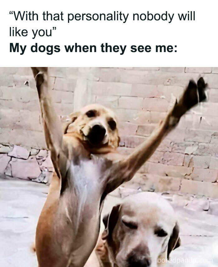 50 Memes That Made The Internet Laugh And Might Make You Chuckle Too 50 Memes That Made The Internet Laugh And Might Make You Chuckle Too