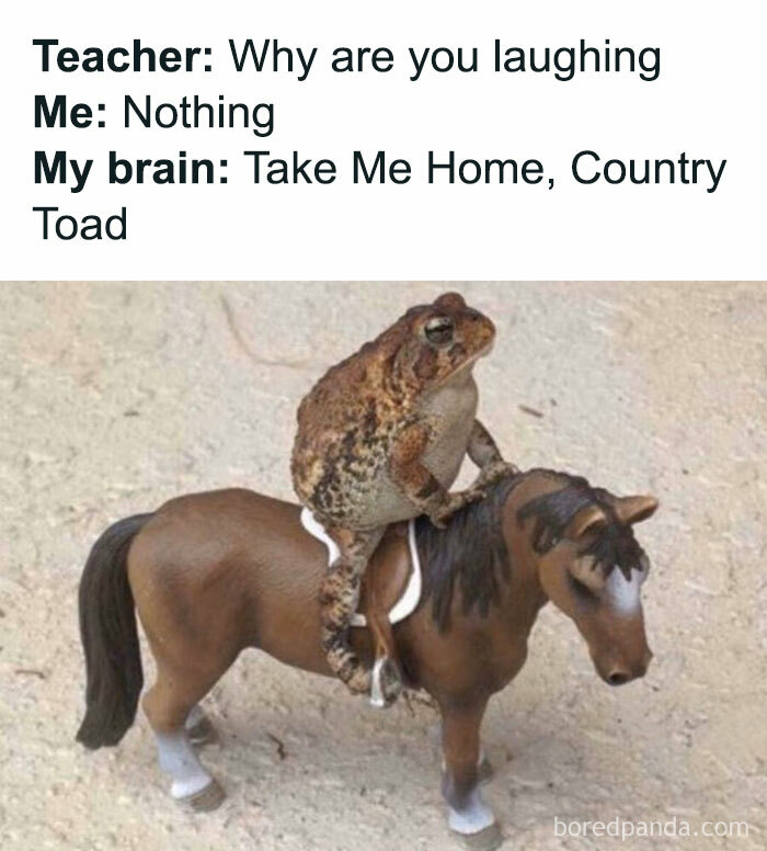 50 Memes That Made The Internet Laugh And Might Make You Chuckle Too 50 Memes That Made The Internet Laugh And Might Make You Chuckle Too