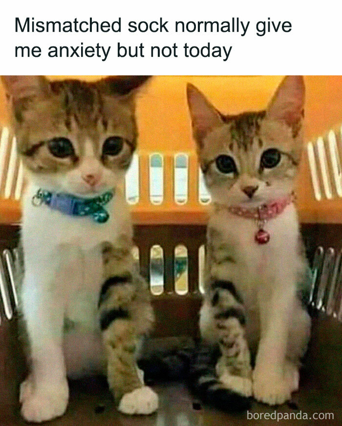 50 Memes That Made The Internet Laugh And Might Make You Chuckle Too 50 Memes That Made The Internet Laugh And Might Make You Chuckle Too