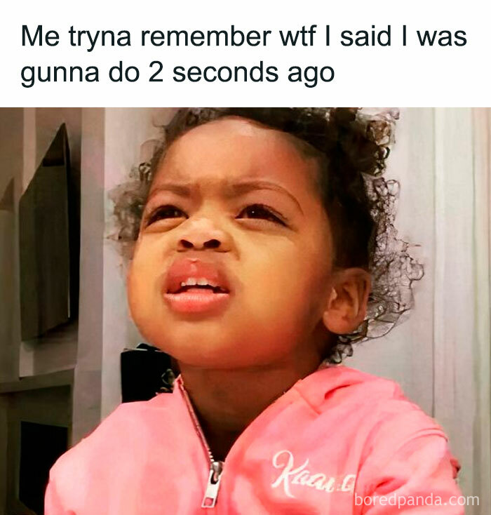 50 Memes That Made The Internet Laugh And Might Make You Chuckle Too 50 Memes That Made The Internet Laugh And Might Make You Chuckle Too