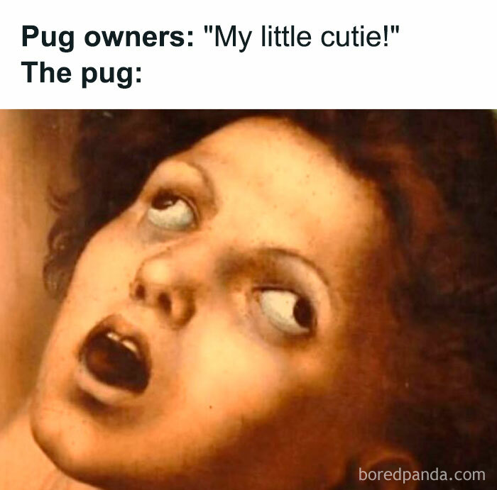 50 Memes That Made The Internet Laugh And Might Make You Chuckle Too 50 Memes That Made The Internet Laugh And Might Make You Chuckle Too