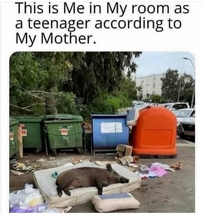 50 Memes That Made The Internet Laugh And Might Make You Chuckle Too 50 Memes That Made The Internet Laugh And Might Make You Chuckle Too