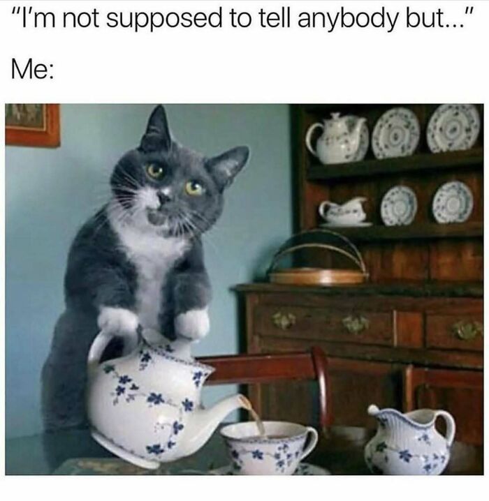 50 Memes That Made The Internet Laugh And Might Make You Chuckle Too 50 Memes That Made The Internet Laugh And Might Make You Chuckle Too