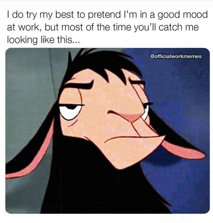 50 Memes That Made The Internet Laugh And Might Make You Chuckle Too 50 Memes That Made The Internet Laugh And Might Make You Chuckle Too