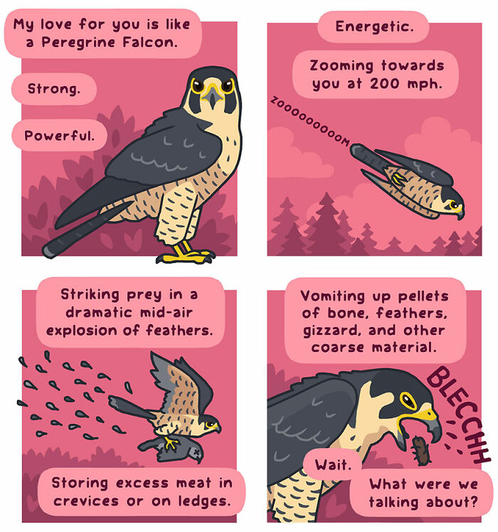 30 Playful Comics That Show The Funny Side Of Nature And Wildlife By This Artist