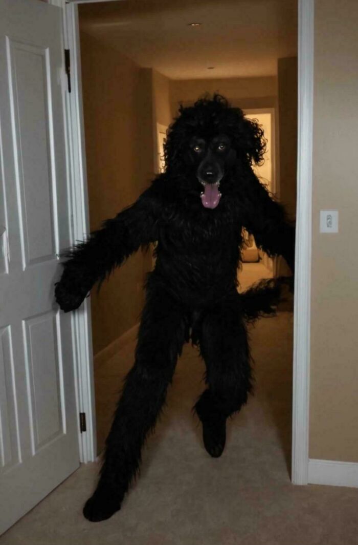 “Oddly Terrifying”: 50 Of The Most Unnerving Images That Feel Like A Glitch In Reality (New Pics) “Oddly Terrifying”: 50 Of The Most Unnerving Images That Feel Like A Glitch In Reality (New Pics)