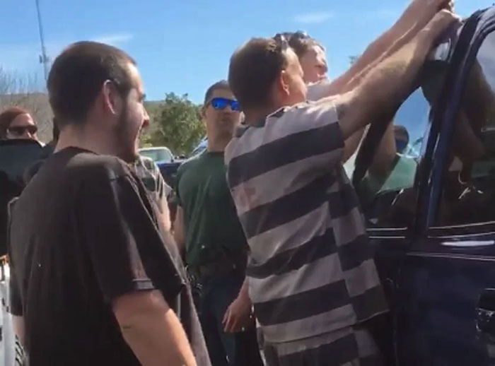 50 Times A Floridian Woke Up And Chose Absolute Unhinged Chaos 50 Times A Floridian Woke Up And Chose Absolute Unhinged Chaos