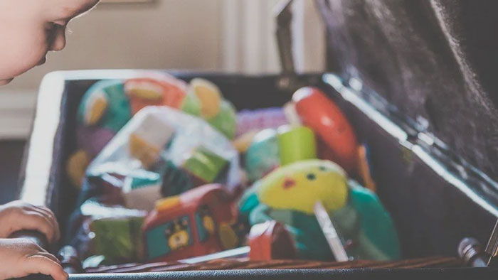 50 Times A Floridian Woke Up And Chose Absolute Unhinged Chaos 50 Times A Floridian Woke Up And Chose Absolute Unhinged Chaos