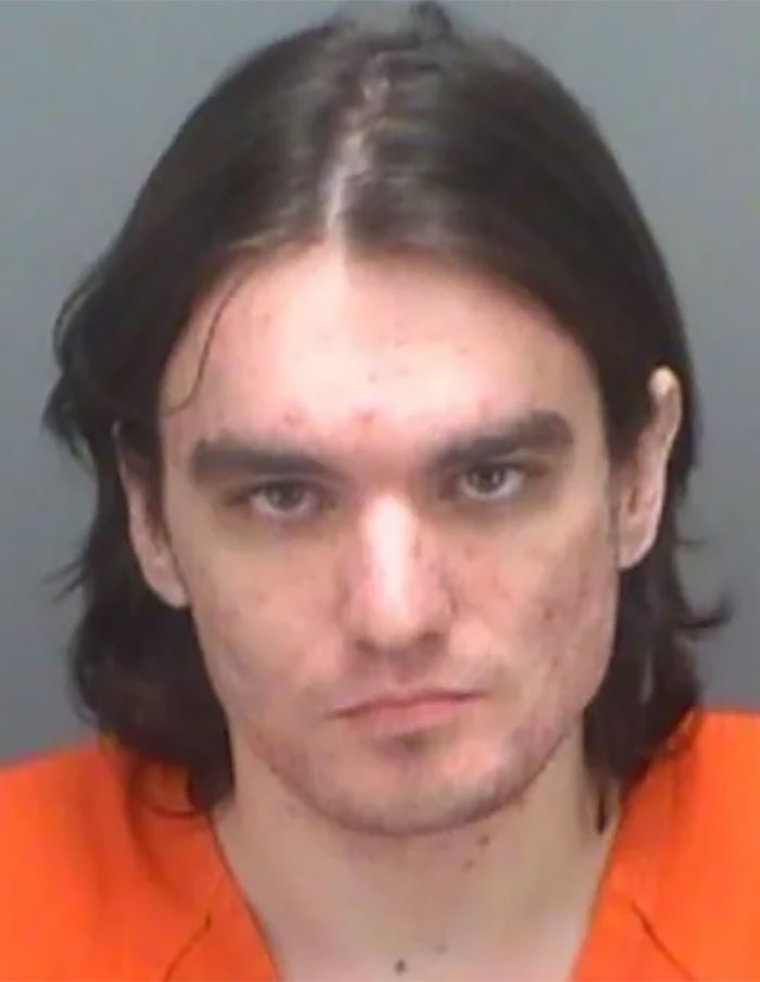 50 Times A Floridian Woke Up And Chose Absolute Unhinged Chaos 50 Times A Floridian Woke Up And Chose Absolute Unhinged Chaos