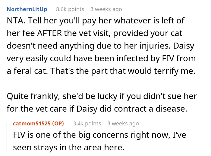 “AITA For Refusing to Pay My Cat-Sitter?”