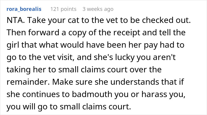 “AITA For Refusing to Pay My Cat-Sitter?”