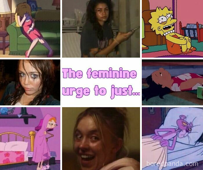 40 Memes From This Facebook Group That Might Make You Say ‘So True’ (New Pics) 40 Memes From This Facebook Group That Might Make You Say ‘So True’ (New Pics)