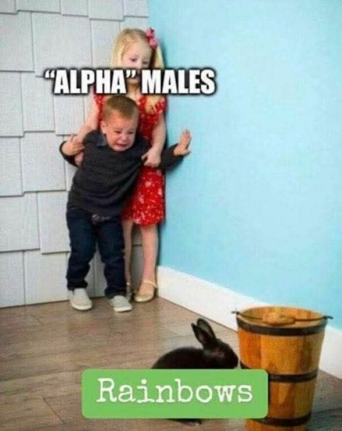 50 People Are Sharing Memes That Hit Hard With Humor And Harsh Truths 50 People Are Sharing Memes That Hit Hard With Humor And Harsh Truths