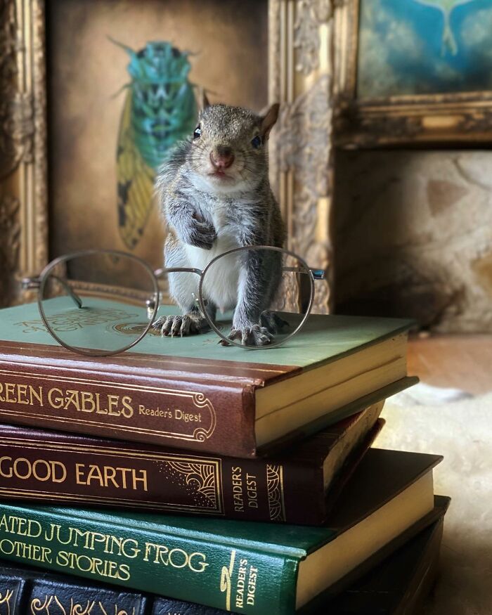 74 Photos That Capture Animals At Their Most Majestic 74 Photos That Capture Animals At Their Most Majestic